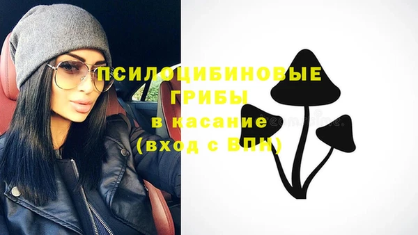 мескалин Арсеньев