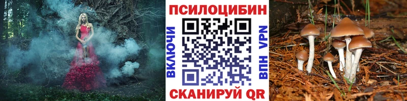 Галлюциногенные грибы GOLDEN TEACHER  гидра как войти  Белокуриха 