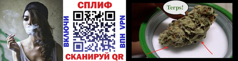 сколько стоит  Белокуриха  Бошки Шишки планчик 